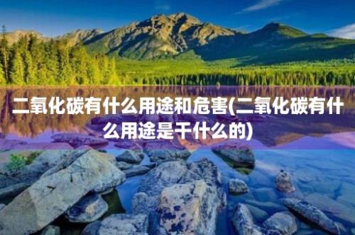 二氧化碳有什么用途和危害(二氧化碳有什么用途是干什么的)