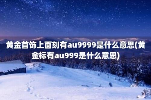 黄金首饰上面刻有au9999是什么意思(黄金标有au999是什么意思)