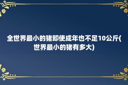 全世界最小的猪即使成年也不足10公斤(世界最小的猪有多大)