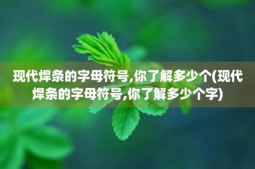 现代焊条的字母符号,你了解多少个(现代焊条的字母符号,你了解多少个字)