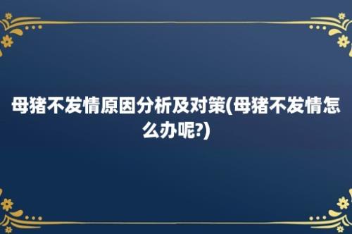 母猪不发情原因分析及对策(母猪不发情怎么办呢?)