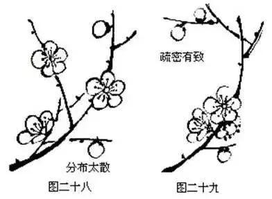 国画初学者入门步骤画梅花（大家一起学学国画梅花的各种画法）(21)