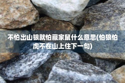 不怕出山狼就怕藏家鼠什么意思(怕狼怕虎不在山上住下一句)