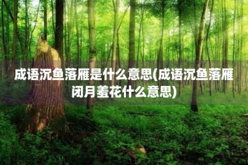 成语沉鱼落雁是什么意思(成语沉鱼落雁闭月羞花什么意思)