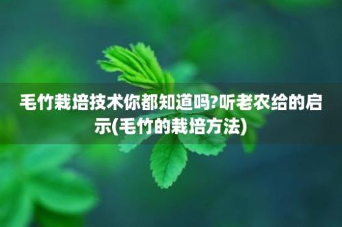 毛竹栽培技术你都知道吗?听老农给的启示(毛竹的栽培方法)