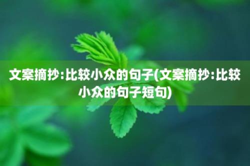 文案摘抄:比较小众的句子(文案摘抄:比较小众的句子短句)