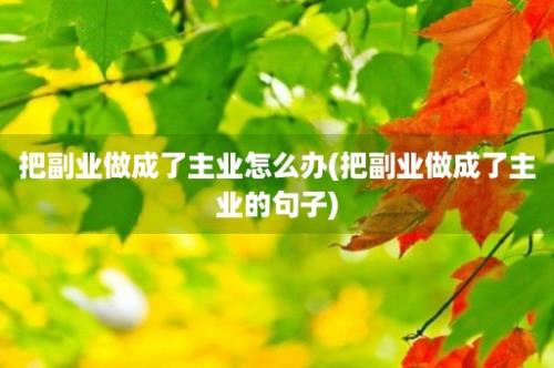 把副业做成了主业怎么办(把副业做成了主业的句子)