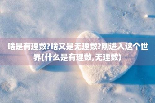 啥是有理数?啥又是无理数?刚进入这个世界(什么是有理数,无理数)