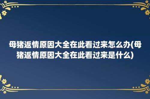 母猪返情原因大全在此看过来怎么办(母猪返情原因大全在此看过来是什么)