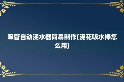 吸管自动浇水器简易制作(浇花吸水棒怎么用)