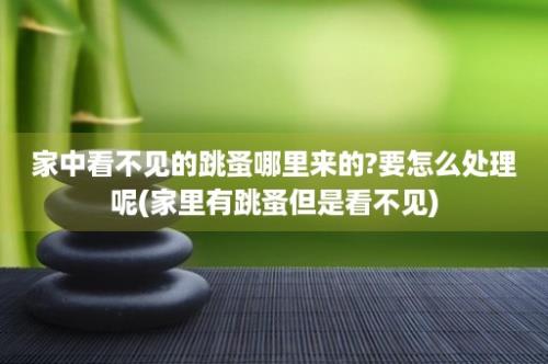 家中看不见的跳蚤哪里来的?要怎么处理呢(家里有跳蚤但是看不见)