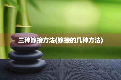 三种嫁接方法(嫁接的几种方法)