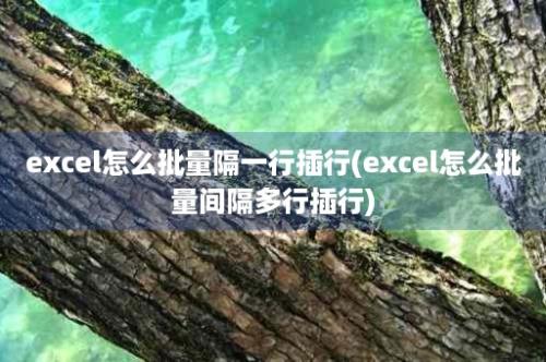 excel怎么批量隔一行插行(excel怎么批量间隔多行插行)