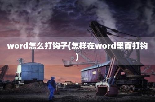 word怎么打钩子(怎样在word里面打钩)