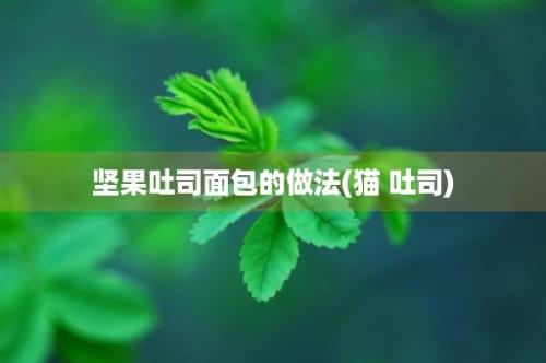 坚果吐司面包的做法(猫 吐司)