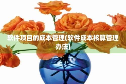 软件项目的成本管理(软件成本核算管理办法)