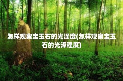 怎样观察宝玉石的光泽度(怎样观察宝玉石的光泽程度)