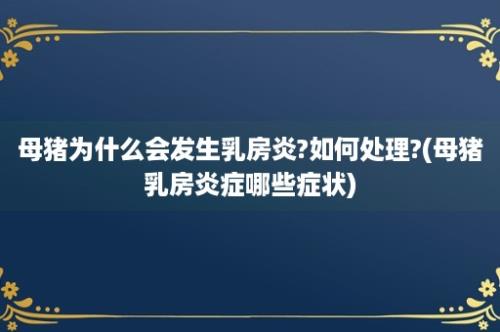 母猪为什么会发生乳房炎?如何处理?(母猪乳房炎症哪些症状)