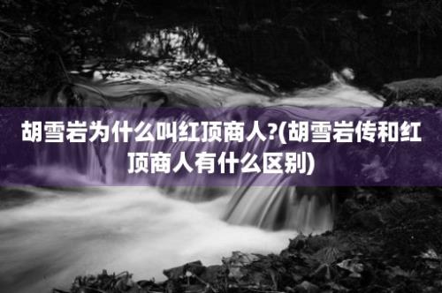 胡雪岩为什么叫红顶商人?(胡雪岩传和红顶商人有什么区别)