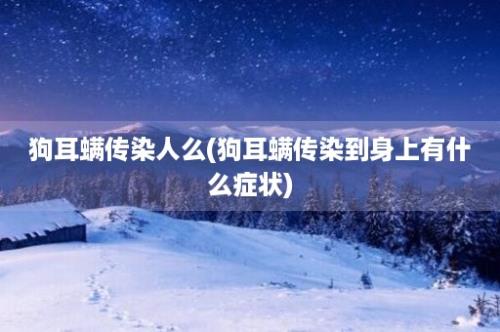 狗耳螨传染人么(狗耳螨传染到身上有什么症状)