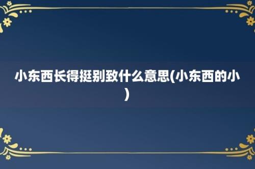 小东西长得挺别致什么意思(小东西的小)