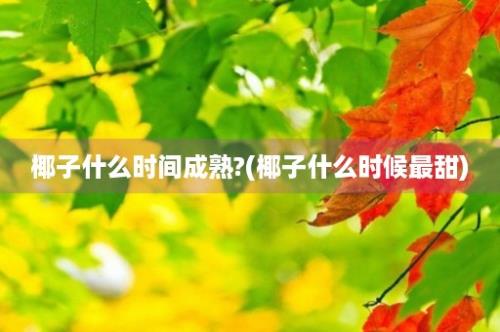 椰子什么时间成熟?(椰子什么时候最甜)