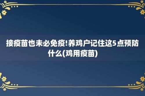 接疫苗也未必免疫!养鸡户记住这5点预防什么(鸡用疫苗)