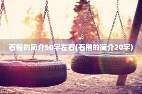 石榴的简介50字左右(石榴的简介20字)