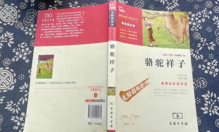 《骆驼祥子》第十四章主要内容是什么