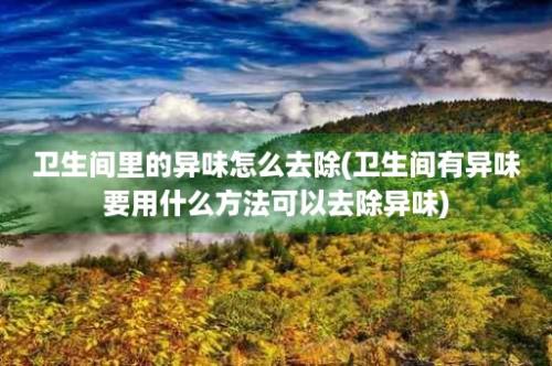 卫生间里的异味怎么去除(卫生间有异味要用什么方法可以去除异味)