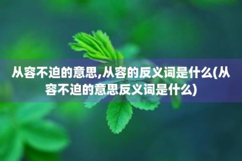 从容不迫的意思,从容的反义词是什么(从容不迫的意思反义词是什么)