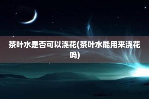 茶叶水是否可以浇花(茶叶水能用来浇花吗)