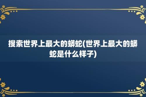 搜索世界上最大的蟒蛇(世界上最大的蟒蛇是什么样子)