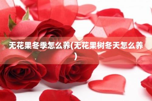 无花果冬季怎么养(无花果树冬天怎么养)