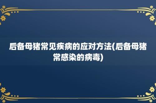 后备母猪常见疾病的应对方法(后备母猪常感染的病毒)