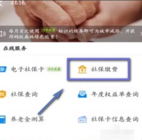 支付宝怎么进行社保缴费