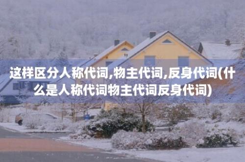 这样区分人称代词,物主代词,反身代词(什么是人称代词物主代词反身代词)