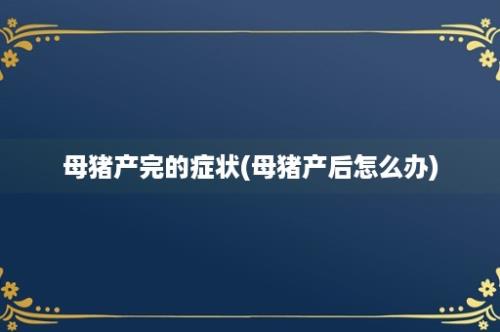 母猪产完的症状(母猪产后怎么办)