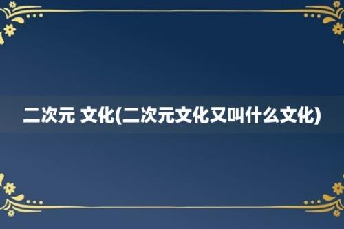 二次元 文化(二次元文化又叫什么文化)