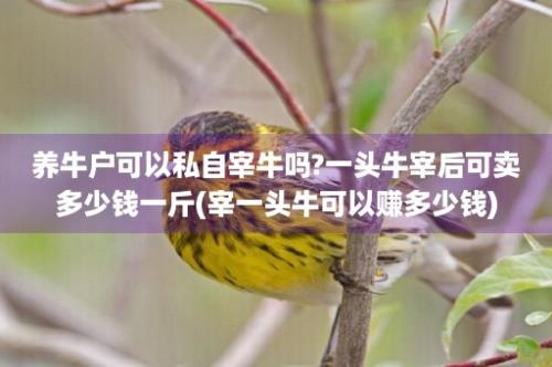 养牛户可以私自宰牛吗?一头牛宰后可卖多少钱一斤(宰一头牛可以赚多少钱)