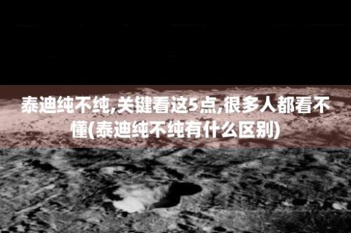 泰迪纯不纯,关键看这5点,很多人都看不懂(泰迪纯不纯有什么区别)