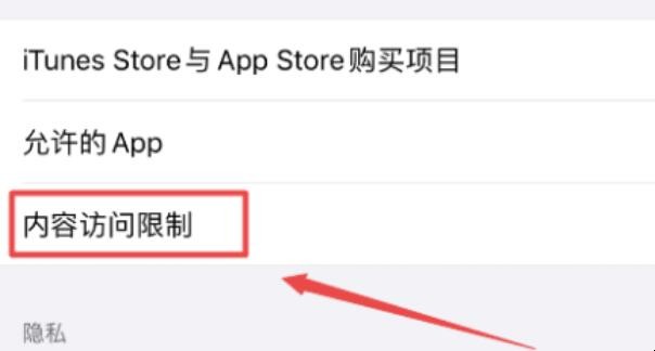 iphone 访问限制在哪