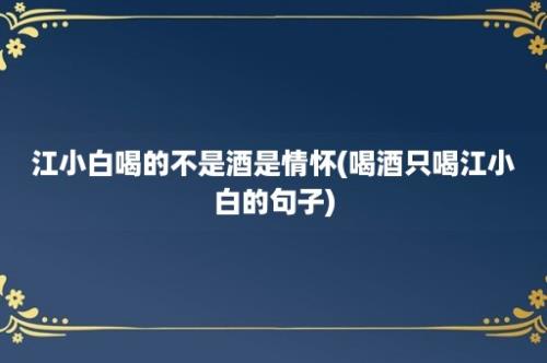 江小白喝的不是酒是情怀(喝酒只喝江小白的句子)