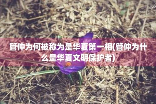 管仲为何被称为是华夏第一相(管仲为什么是华夏文明保护者)