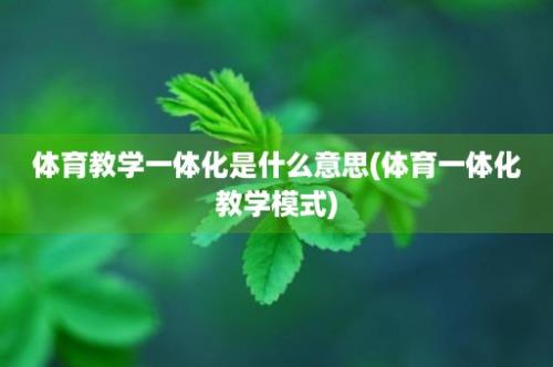 体育教学一体化是什么意思(体育一体化教学模式)