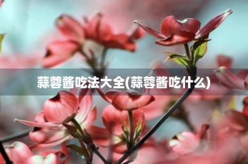 蒜蓉酱吃法大全(蒜蓉酱吃什么)