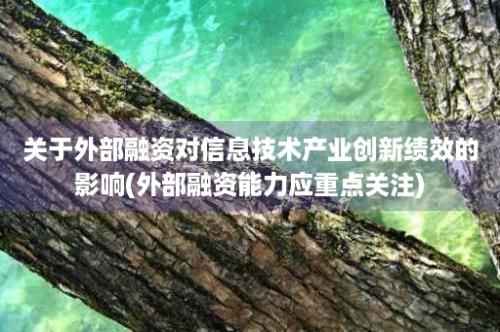 关于外部融资对信息技术产业创新绩效的影响(外部融资能力应重点关注)