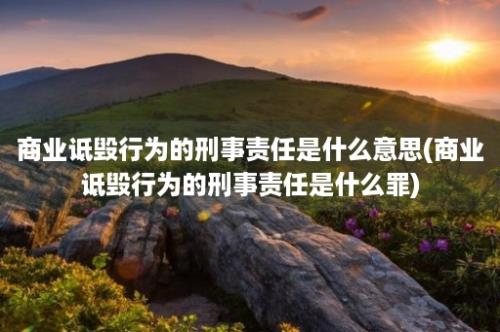 商业诋毁行为的刑事责任是什么意思(商业诋毁行为的刑事责任是什么罪)