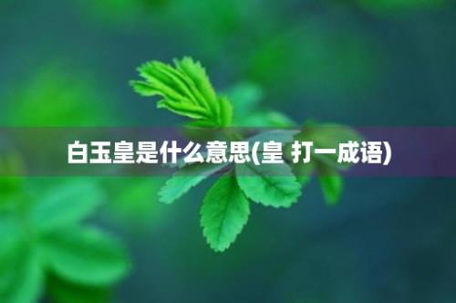 白玉皇是什么意思(皇 打一成语)