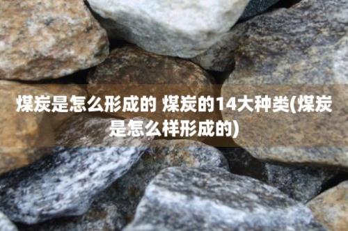 煤炭是怎么形成的 煤炭的14大种类(煤炭是怎么样形成的)